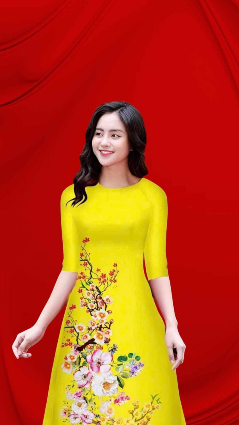 Ao Dai 224