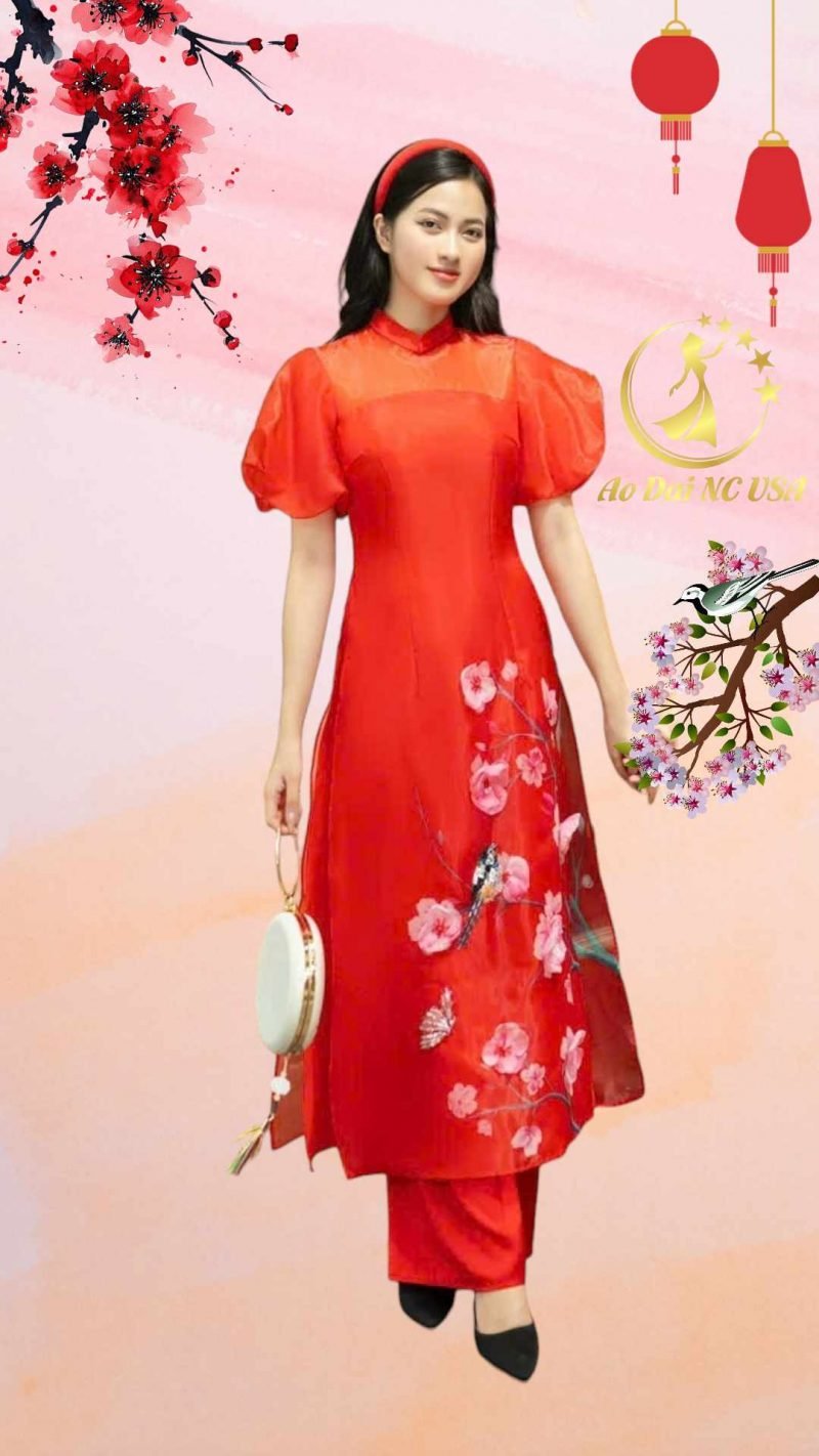 Ao Dai 228