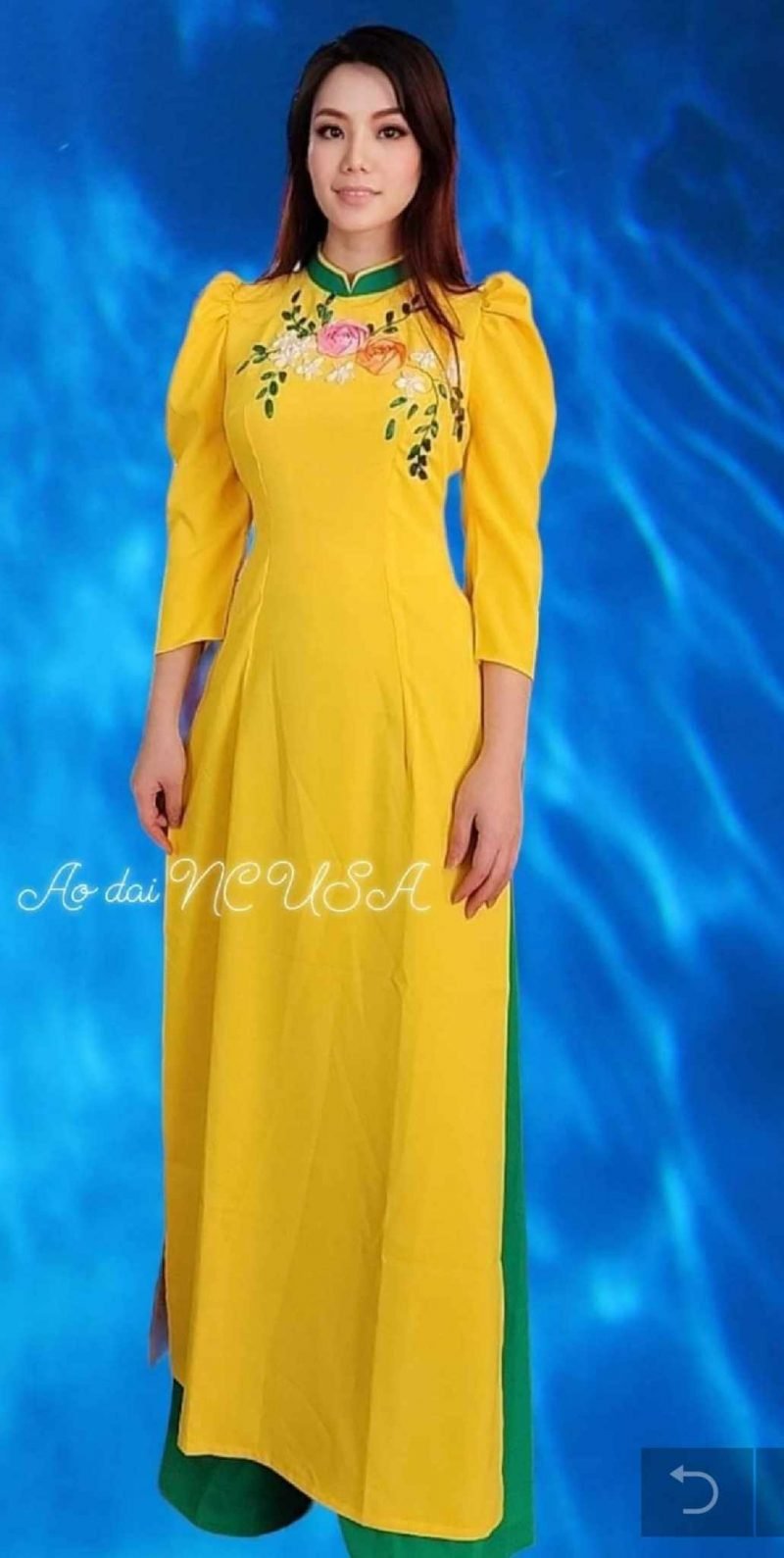 Ao Dai 251